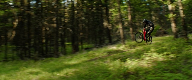 Video Reference: Bicycle, Downhill mountain biking, Cycle sport, Nature, Freeride, Mountain biking, Mountain bike racing, Mountain bike, Woodland, Vehicle