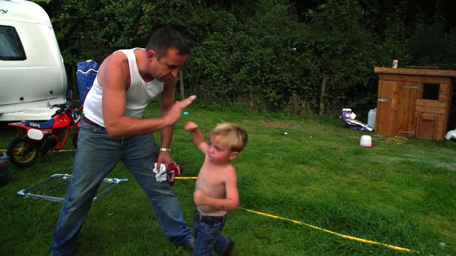 Video Reference: man, car, plant, grass, lawn, male, tree, backyard, recreation, fun