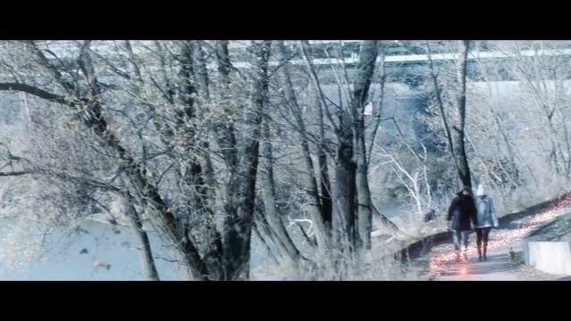 Video Reference: Nature, Tree, Natural environment, Forest, Winter, Woodland, Wilderness, Woody plant, Snow, Plant