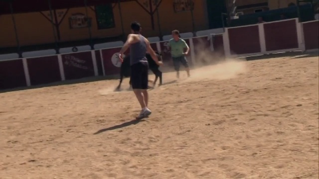 Video Reference: beach, sport, sand, sea, ocean, Person