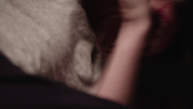 Video Reference: Black, Nose, Leg, Arm, Hand, Close-up, Joint, Eye, Finger, Darkness