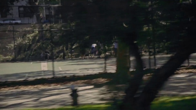 Video Reference: Nature, Tree, Grass, Mode of transport, Land lot, Morning, Public space, Fence, Biome, Residential area