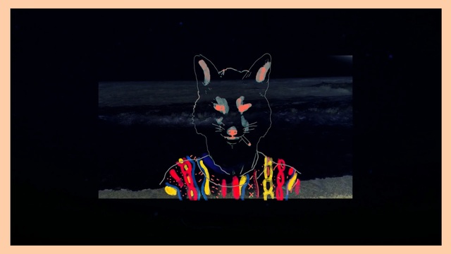 Video Reference: black, art, darkness, graphics, illustration, fictional character, font, graphic design, visual arts, cat