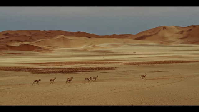 Video Reference: Desert, Sand, Natural environment, Aeolian landform, Sahara, Erg, Ecoregion, Dune, Landscape, Singing sand