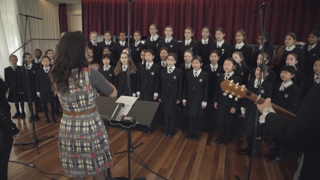 Video Reference: musician, choir, musical ensemble, orchestra, official, audience, performance, Person