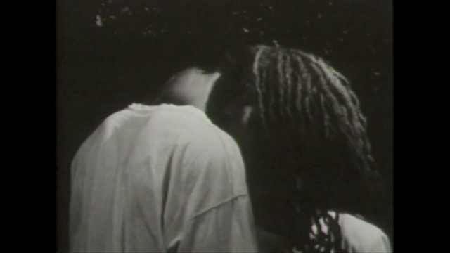 Video Reference: black, vertebrate, darkness, black and white, bird of prey, interaction, wing, kiss, eagle, beak