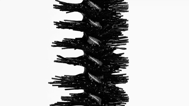 Video Reference: Tree, Plant, Pine family