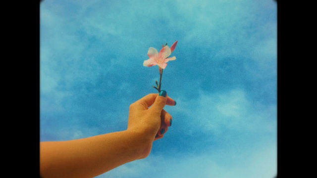 Video Reference: sky, cloud, flower, hand, leaf, petal, finger, wind, computer wallpaper, meteorological phenomenon