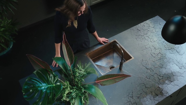 Video Reference: Plant, Floral design, Floristry, Houseplant