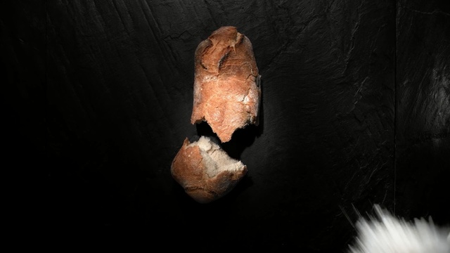 Video Reference: Nose, Jaw, Rock, Tooth