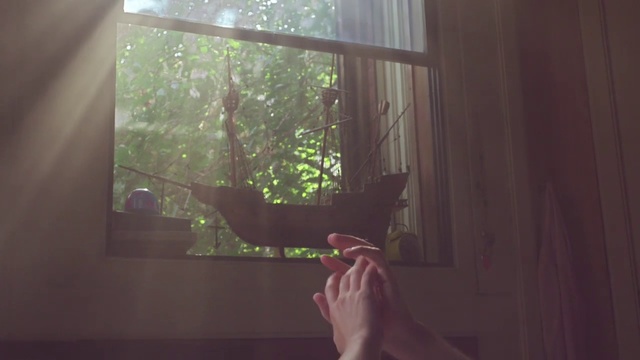 Video Reference: Light, Window, Sunlight, Hand, Leaf, Tree, Window treatment, Wood, Interior design, Room, Person