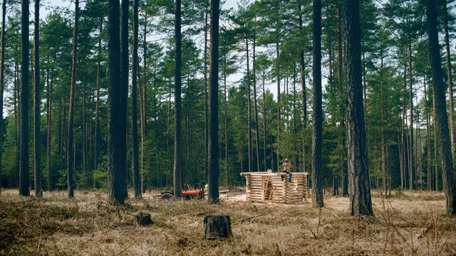 Video Reference: Tree, Forest, Woodland, Natural environment, Spruce-fir forest, Old-growth forest, Biome, Northern hardwood forest, Nature reserve, Temperate coniferous forest