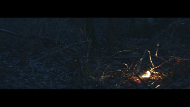 Video Reference: black, nature, atmosphere, darkness, sky, night, ecosystem, light, screenshot, geological phenomenon