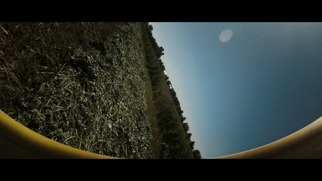 Video Reference: Sky, Atmosphere, Yellow, Tree, Photography, Space, Astronomical object, Sunlight, Horizon, World, Photo, Sitting, Computer, Plant, Table, Laptop, Food, Moon, Tableware