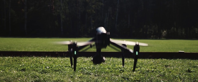 Video Reference: Grass, Tree, Lawn, Fence, Pasture, Table, Meadow, Plant, Furniture, Grassland, Person