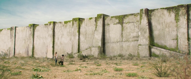 Video Reference: Wall, Grass, Land lot, Rock, Tree, Pasture, Fence, Photography, Plant, Grassland