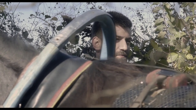 Video Reference: Tree, Photography, Personal protective equipment, Vehicle door, Plant, Window, Automotive window part, Black hair