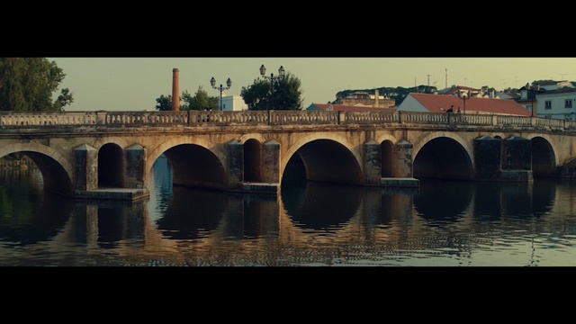 Video Reference: Arch bridge, Bridge, Viaduct, Aqueduct, Reflection, Waterway, River, Arch, Water, Architecture, Person