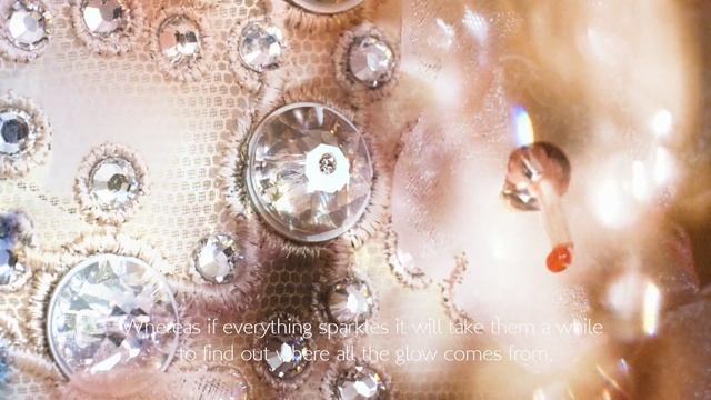 Video Reference: close up, water, macro photography, organism