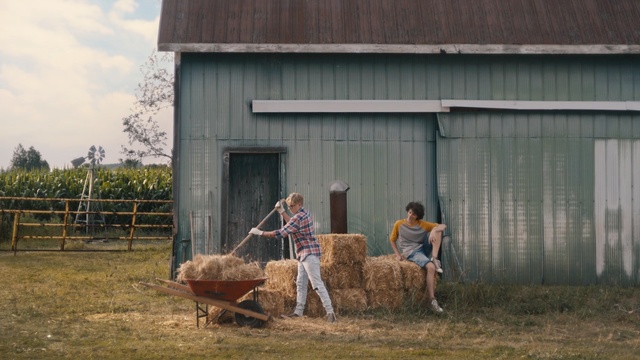 Video Reference: Hay, Wheelbarrow, Straw, Cart, Rural area, Grass, Farm, Bovine, Pasture, Shed