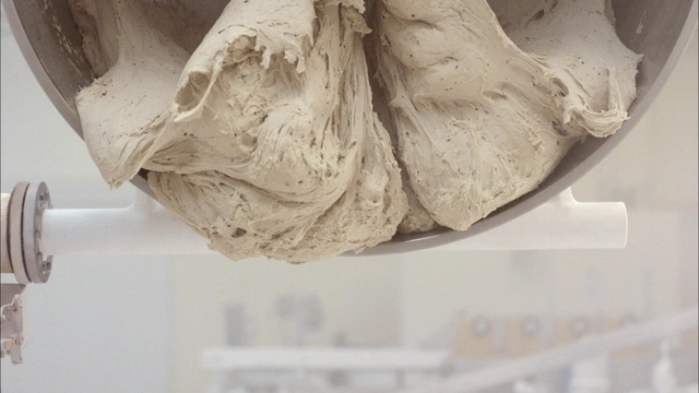 Video Reference: invertebrate, food, Person