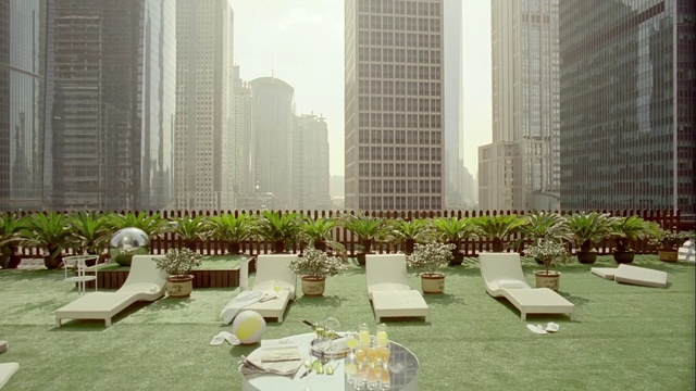 Video Reference: grass, plant, urban design, tree, roof, outdoor structure, city, condominium, lawn, landscaping