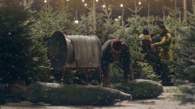 Video Reference: Grass, Tree, Plant, Landscape, Vehicle, Person