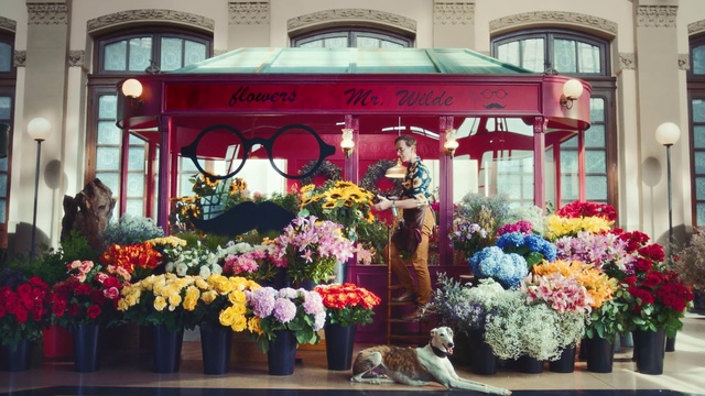 Video Reference: Floristry, Floral design, Flower Arranging, Flower, Building, Plant, Window, Retail, Architecture, Facade