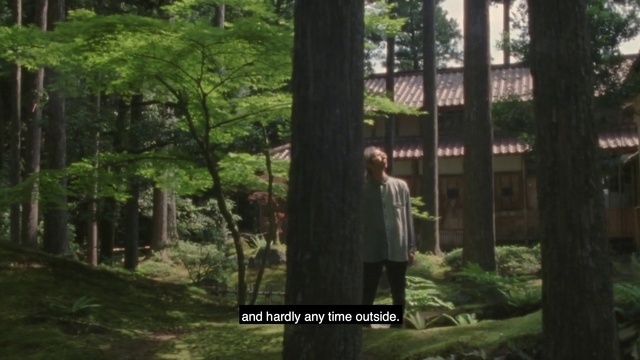 Video Reference: Nature, Forest, Tree, Natural environment, Woodland, Old-growth forest, Vegetation, Biome, Nature reserve, Natural landscape, Grass, Outdoor, Park, Standing, Man, Field, Area, Bench, Black, Green, Walking, Large, Sign, Riding, Grassy, Holding, Woman, Enclosure, White, Horse, Tall, Person, Clothing, Plant, Screenshot, Text