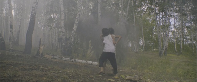 Video Reference: tree, forest, woodland, path, morning, sunlight, grass, fog, girl, plant, Person