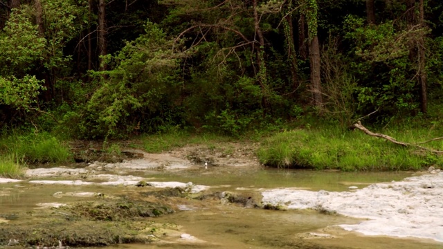 Video Reference: Body of water, Nature, Riparian zone, Natural landscape, Nature reserve, Bank, Natural environment, Water resources, Vegetation, Stream