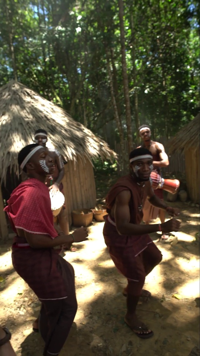 Video Reference: Tree, Adaptation, Jungle