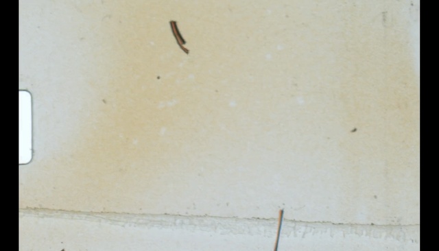 Video Reference: wall, sky, line, plaster, wood, material, angle