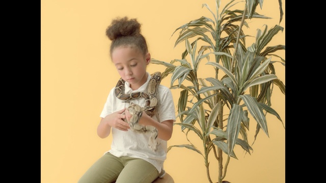 Video Reference: plant, girl, child, smile, human behavior, fun, tree, happiness, Person