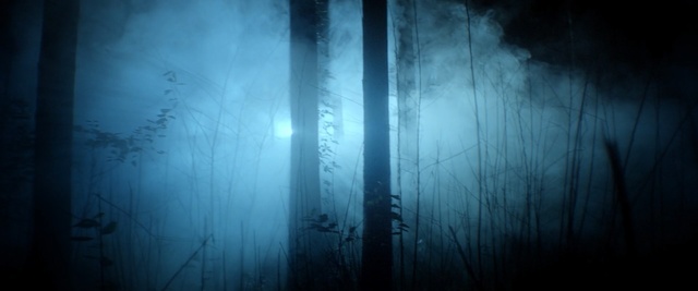 Video Reference: atmosphere, darkness, light, forest, computer wallpaper, midnight, stock photography, transparency and translucency, screenshot