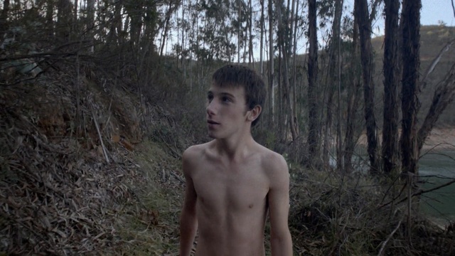 Video Reference: person, tree, male, barechestedness, boy, forest, muscle, jungle, grass, trunk