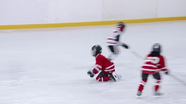 Video Reference: College ice hockey, Ice hockey position, Sports, Ice hockey, Hockey protective equipment, Player, Ice rink, Bandy, Hockey, Tournament