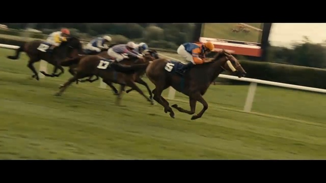 Video Reference: Horse, Jockey, Bridle, Animal sports, Sports, Vertebrate, Horse racing, Mammal, Rein, Halter, Person