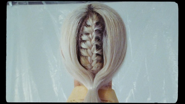 Video Reference: Hair, Hairstyle, Long hair, French braid, Organism, Blond, Plant, Jaw, Person