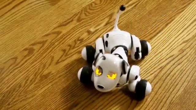 Video Reference: technology, toy, product, material, carnivoran, sports equipment, figurine