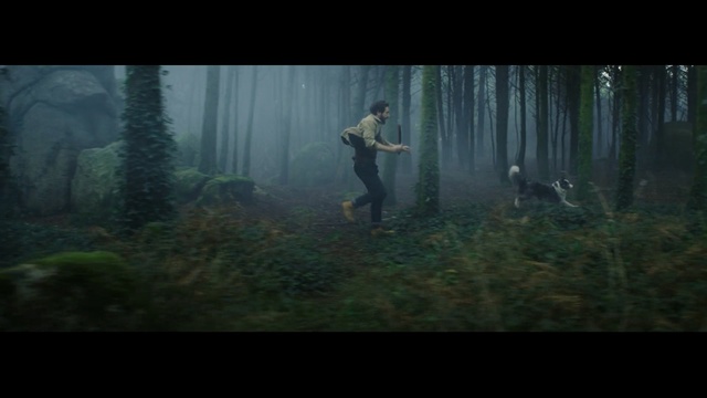 Video Reference: Nature, Natural environment, Forest, Atmospheric phenomenon, Woodland, Screenshot, Biome, Atmosphere, Tree, Digital compositing, Person