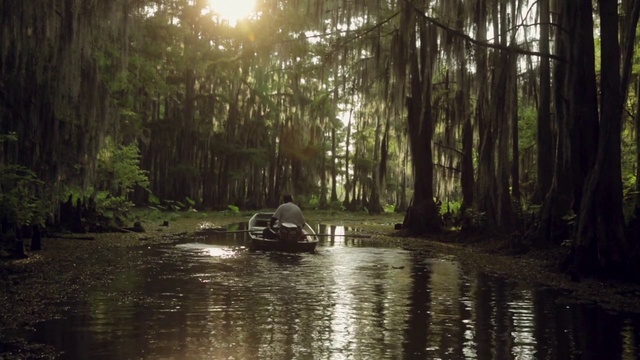 Video Reference: Nature, Natural landscape, Natural environment, Bayou, Forest, Swamp, Bank, Jungle, Tree, Waterway
