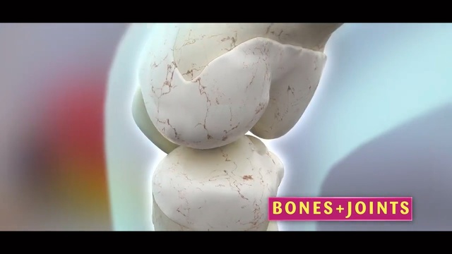 Video Reference: joint, egg, jaw