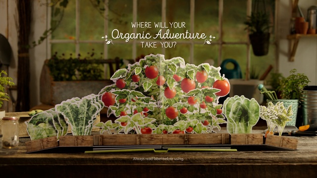 Video Reference: Flower Arranging, Floristry, Floral design, Flower, Plant, Bouquet, Cut flowers, Art, Artificial flower, Centrepiece