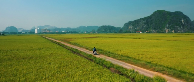 Video Reference: Grassland, Field, Plain, Paddy field, Pasture, Land lot, Agriculture, Rural area, Farm, Natural environment