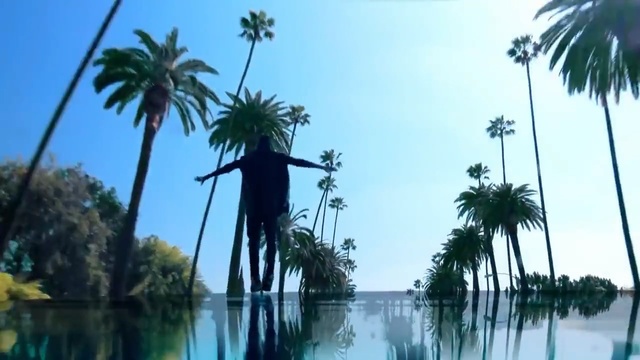 Video Reference: Tree, Vegetation, Nature, Palm tree, Arecales, Water, Water resources, Reflection, Plant, Woody plant, Person