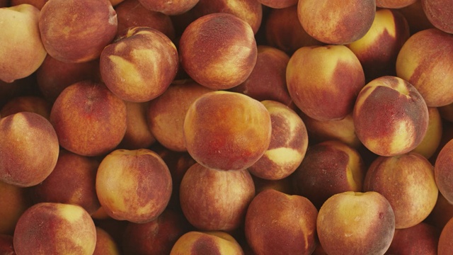 Video Reference: fruit, edible fruit, vitamin, citrus, orange, food, healthy, fresh, juicy, sweet, diet, peach, produce, tangerine, health, tasty, Person