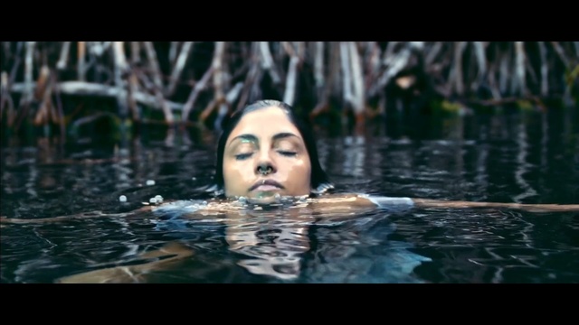Video Reference: water, vertebrate, fun, girl, human, screenshot, leisure, tree, swimming, Person
