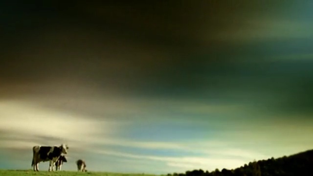 Video Reference: Sky, Nature, Grassland, Natural landscape, Green, Pasture, Cloud, Natural environment, Ecoregion, Wildlife