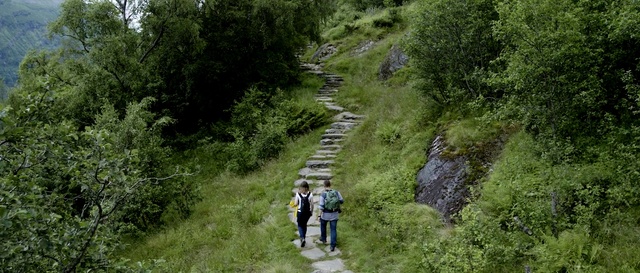 Video Reference: Vegetation, Nature reserve, Nature, Natural landscape, Natural environment, Wilderness, Trail, Biome, Jungle, Forest